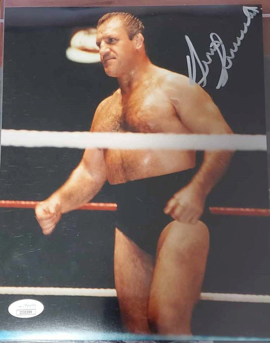 Bruno Sammartino